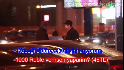 Para Karşılığı Köpek Öldürür müsün  (Türkçe Altyazılı Sosyal Deney)