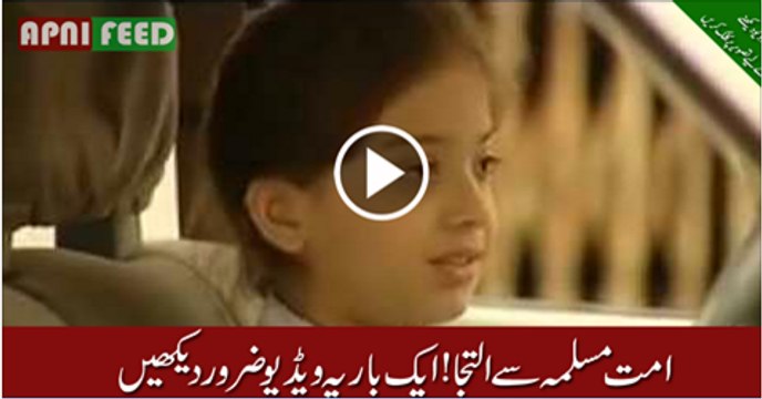 Request-to-all-Muslims-plz-plz-plz-must-see -