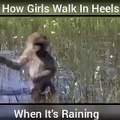 How Girls Walks in Heels When Its Raining