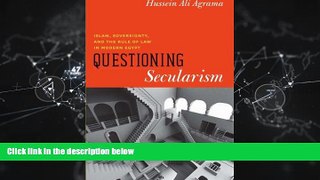 different   Questioning Secularism: Islam, Sovereignty, and the Rule of Law in Modern Egypt