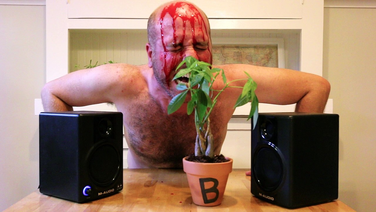 Plant Talk: Does talking to your plants help them grow?