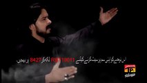 Biya Ali Asgaram (a.s) -Irfan Haider Nohay 2017 -  Video Noha