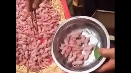Les chinois mangent des bébés souris vivant !!!!