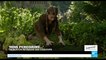 Tim Burton reprend des couleurs avec "Miss Peregrine et les enfants particuliers"