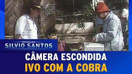 Câmera Escondida - Ivo com a Cobra