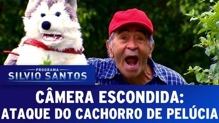 Câmera Escondida (02.10.16) - Ataque do Cachorro de Pelúcia