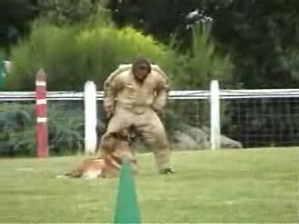 Baron garde au ferme