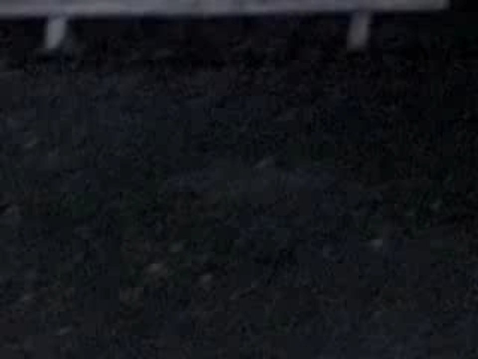 ALIEN : CANULAR OU REALITE ?