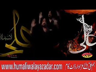 Irfan Haider Nohay 2017 Promo | Nohay 2017