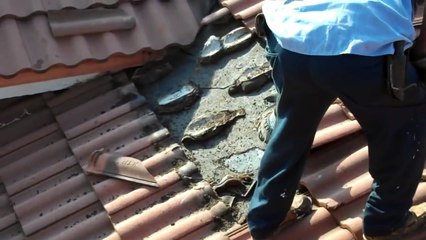 Cet homme a découvert un nid géant de chauve souris sous une toiture à Miami