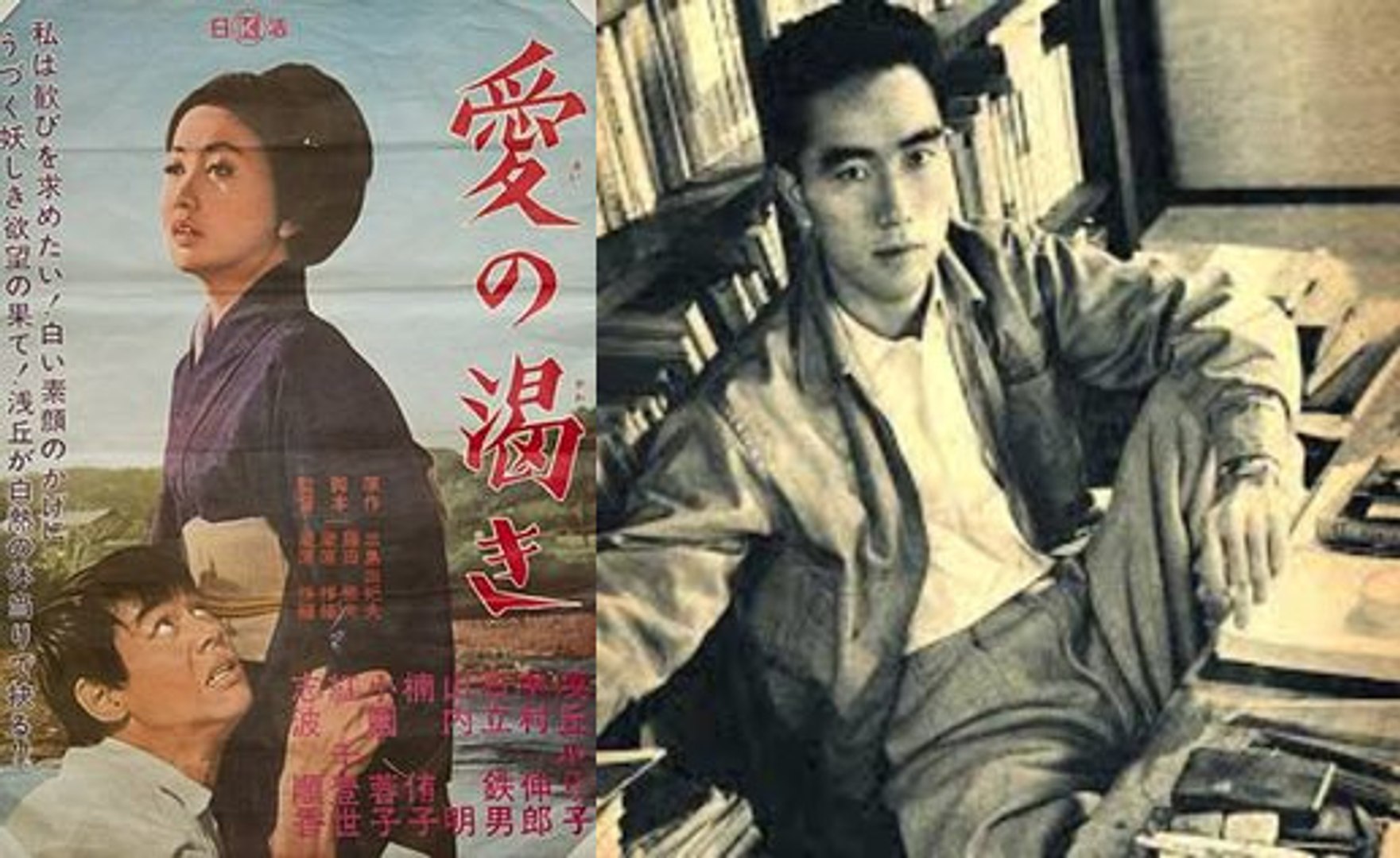 Novels Plot Summary 95 Thirst For Love Video Dailymotion