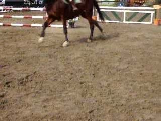 moi et élan en concours