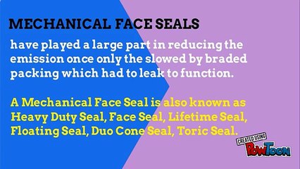 What is Mechanical Face Seals