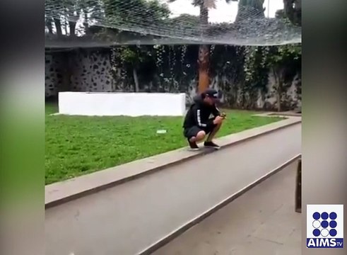 یہ شیر آدمی کے ساتھ کیا کرے گا دیکھیے اس ویڈیو میں