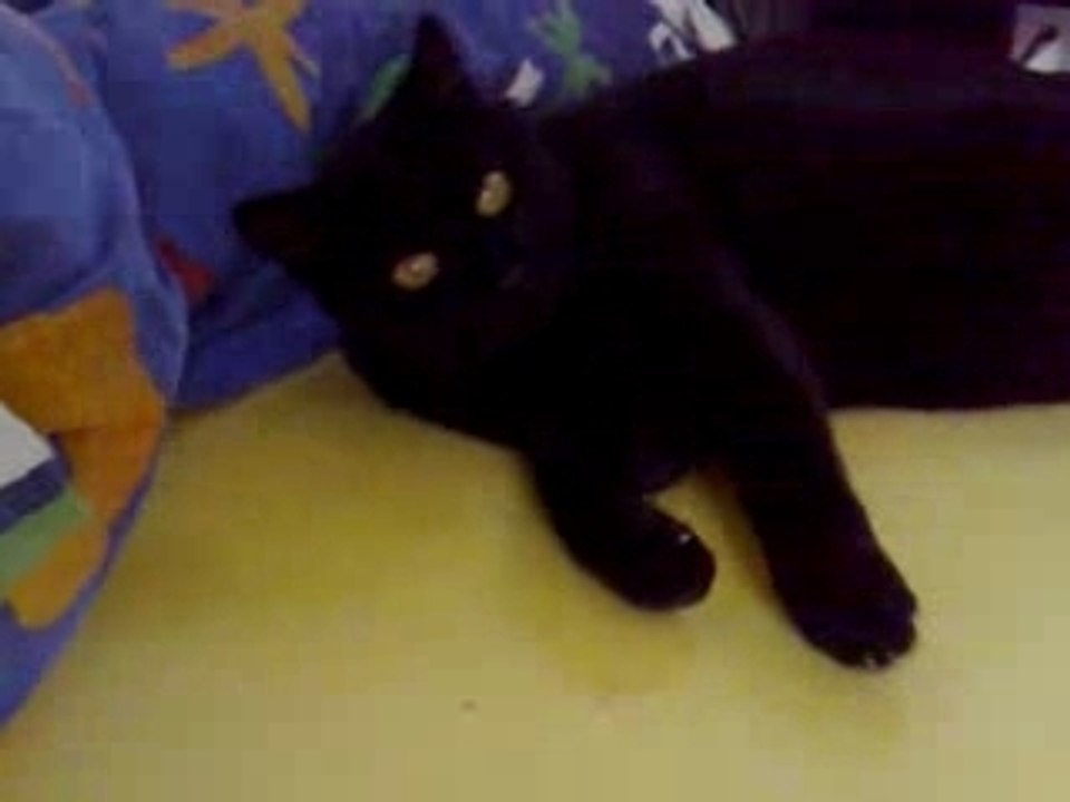 Minette