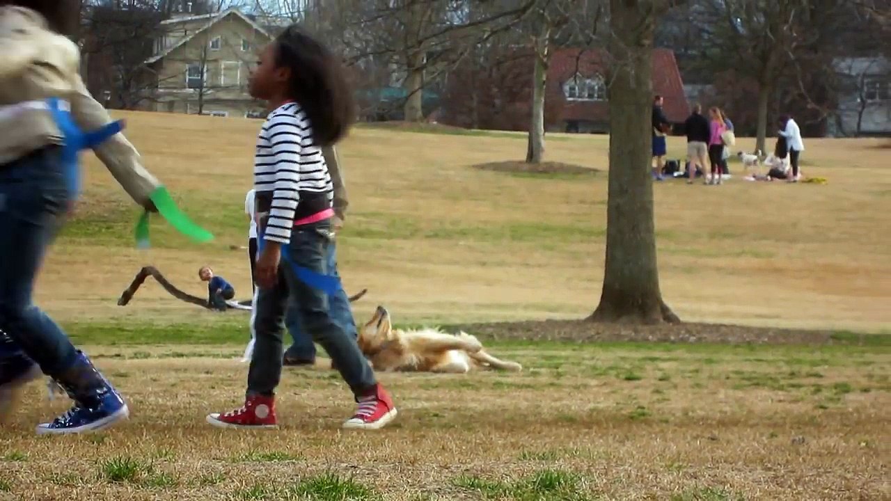 Un Golden Retriever refuse de quitter le parc