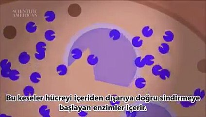 Öldükten sonra toprak altında bedenimiz