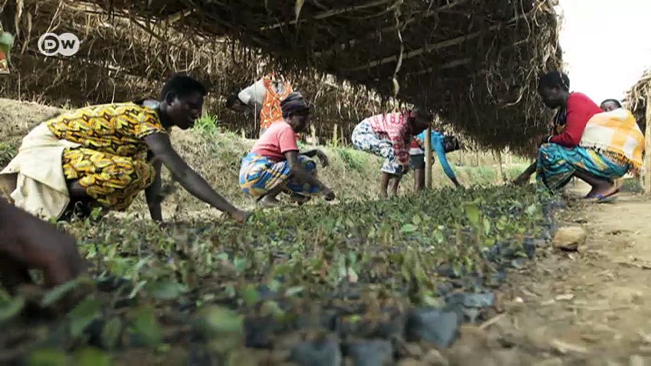 Ohne das Rugezi-Moor droht Ruanda Wasserknappheit | Global Ideas