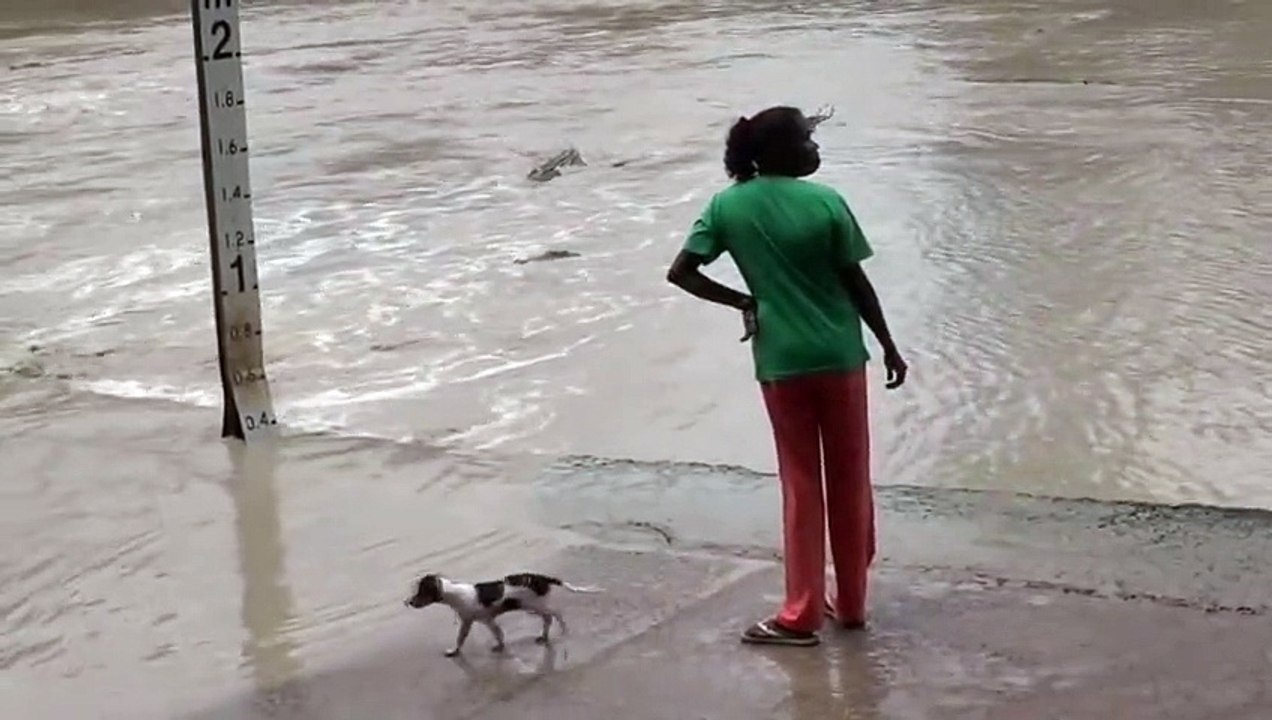 Elle repousse un crocodile avec sa sandale