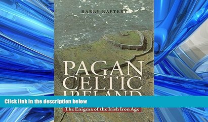 Online eBook Pagan Celtic Ireland: The Enigma of the Irish Iron Age