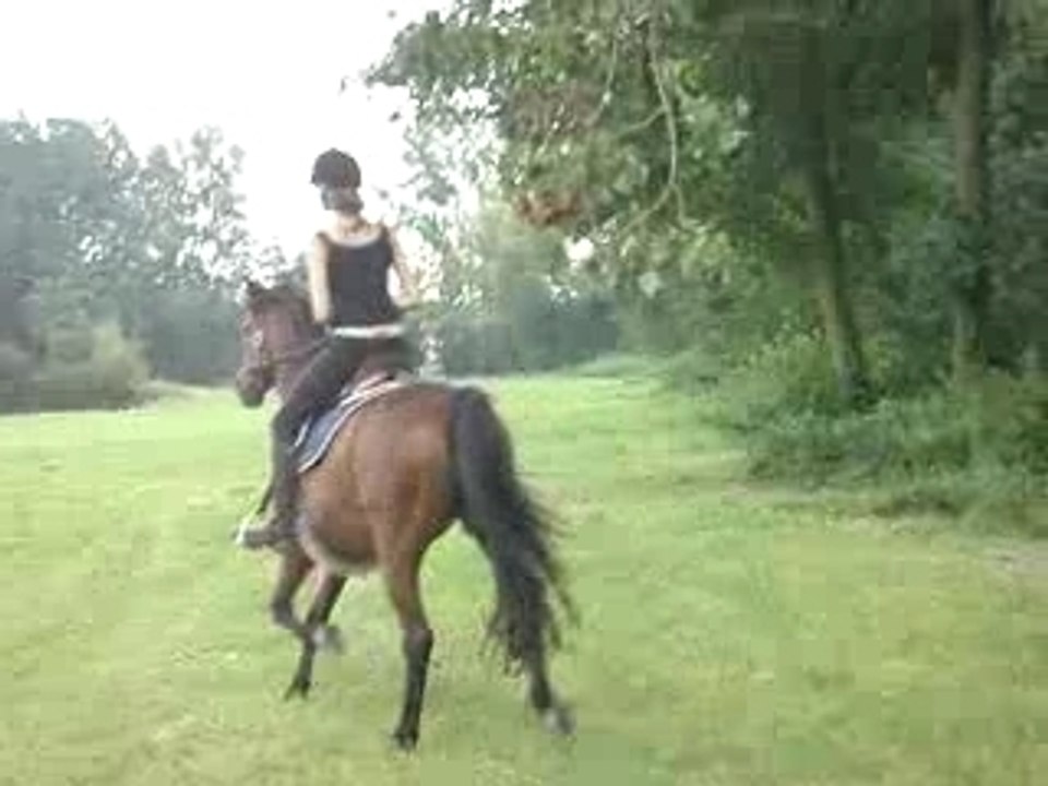 saut