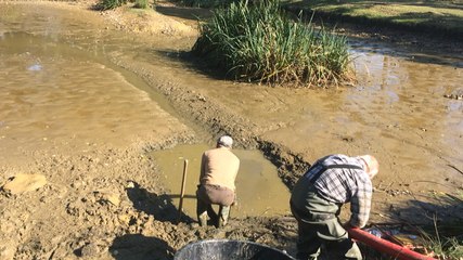 Pourquoi vide-t-on l'étang de la Maison de la pêche ?