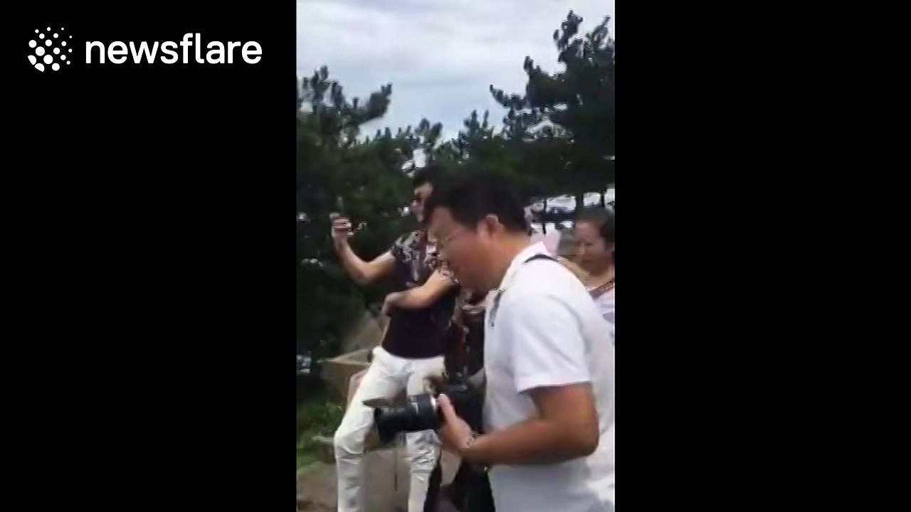 Buddhist monk meditates on top of tree