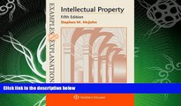 different   Examples   Explanations: Intellectual Property