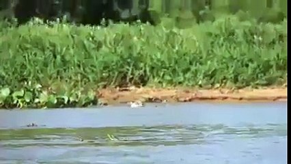 Doğa dengesini her şekilde koruyor. Nature maintains balance in every way.