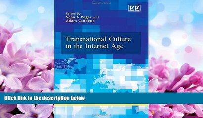 different   Transnational Culture in the Internet Age (Elgar Law, Technology and Society series)