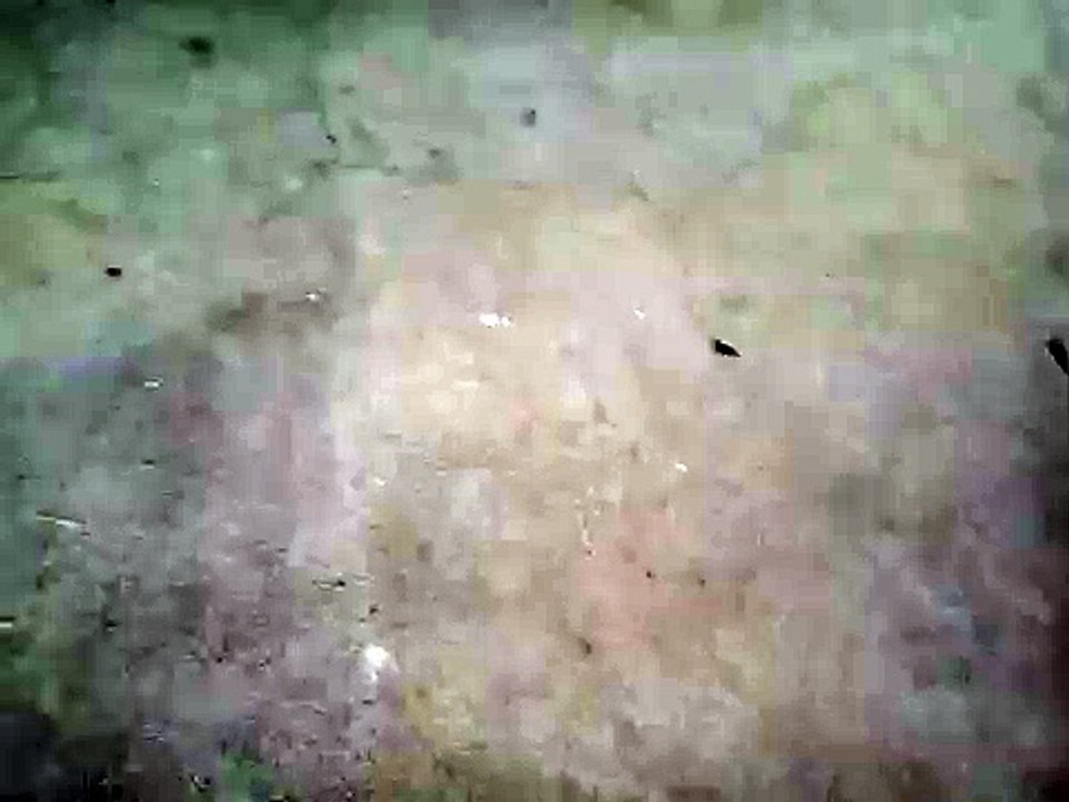 Ripanjeeee -D
