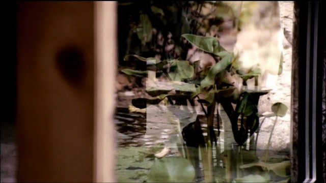 Nancy Ajram Meen Dah Elly Nseik 2016 Remix