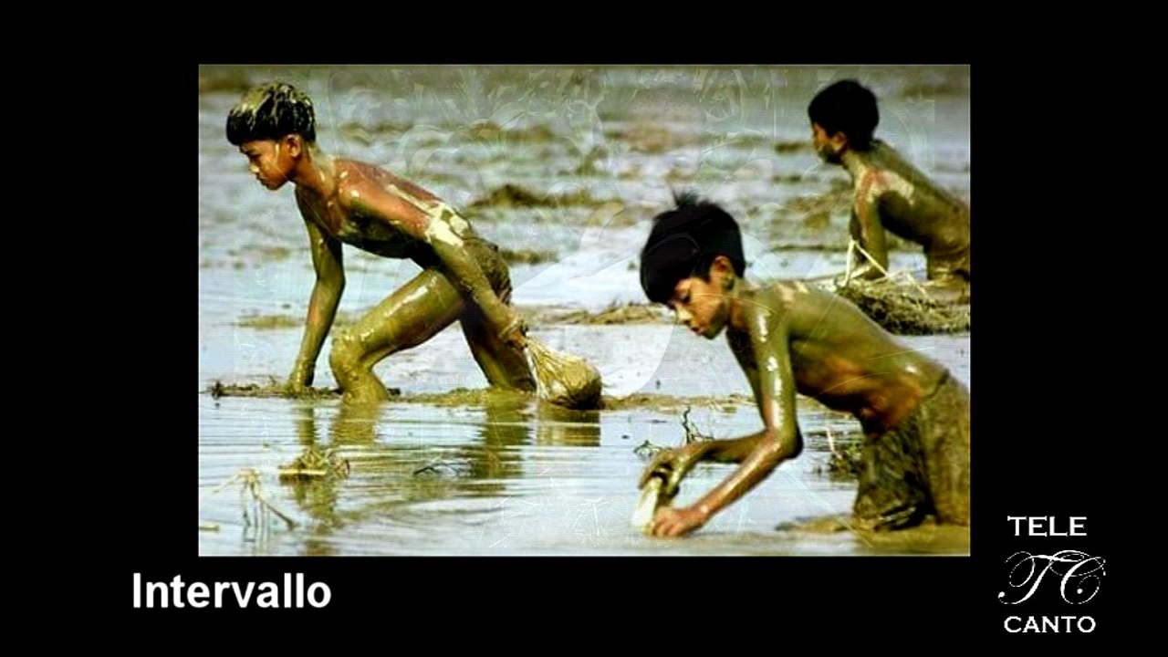 LAVORO MINORILE. Lontano dagli occhi, lontano dal cuore?