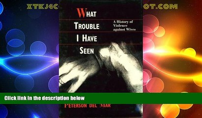 Big Deals  What Trouble I Have Seen: A History of Violence against Wives  Best Seller Books Best