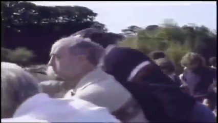 La reacción de este gorila con un niño se hizo viral