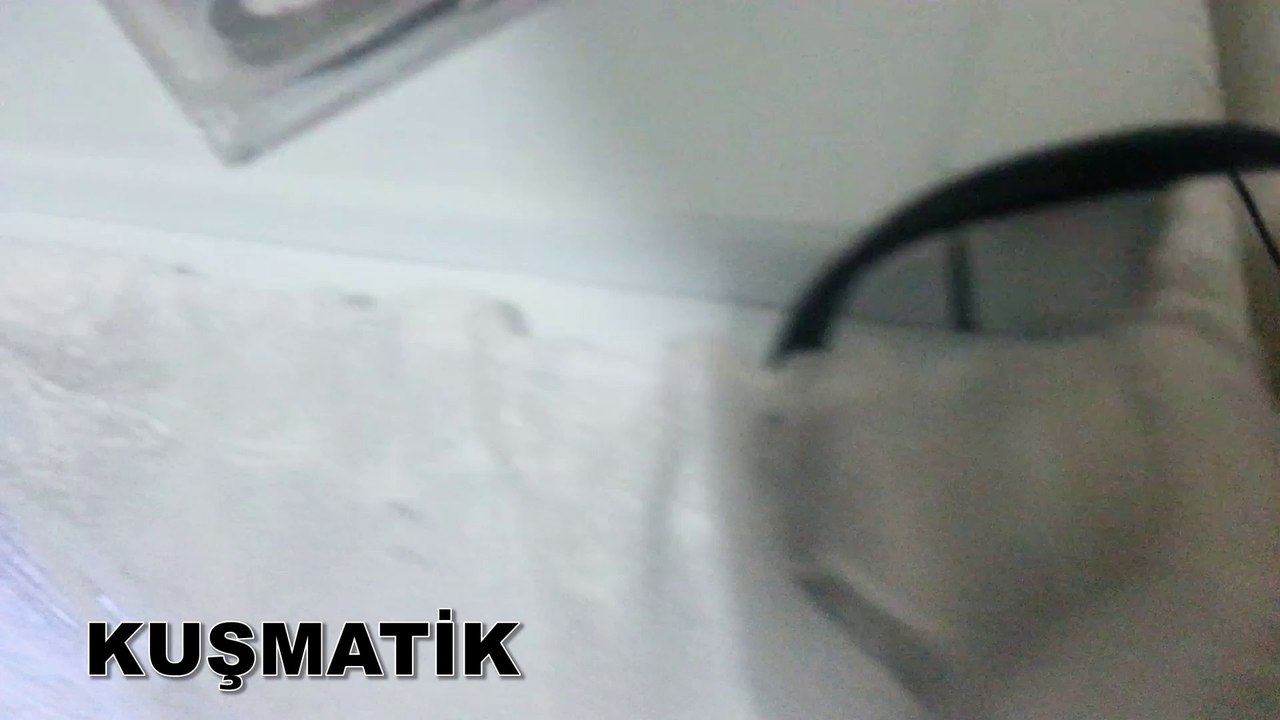 20161005_221845_1