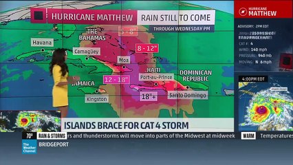 Can Someone Fact Check This Story About Haitian Kids Eating Trees?