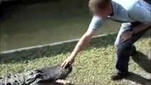 5 Real Crocodile Attacks On Humans Caught On Tape