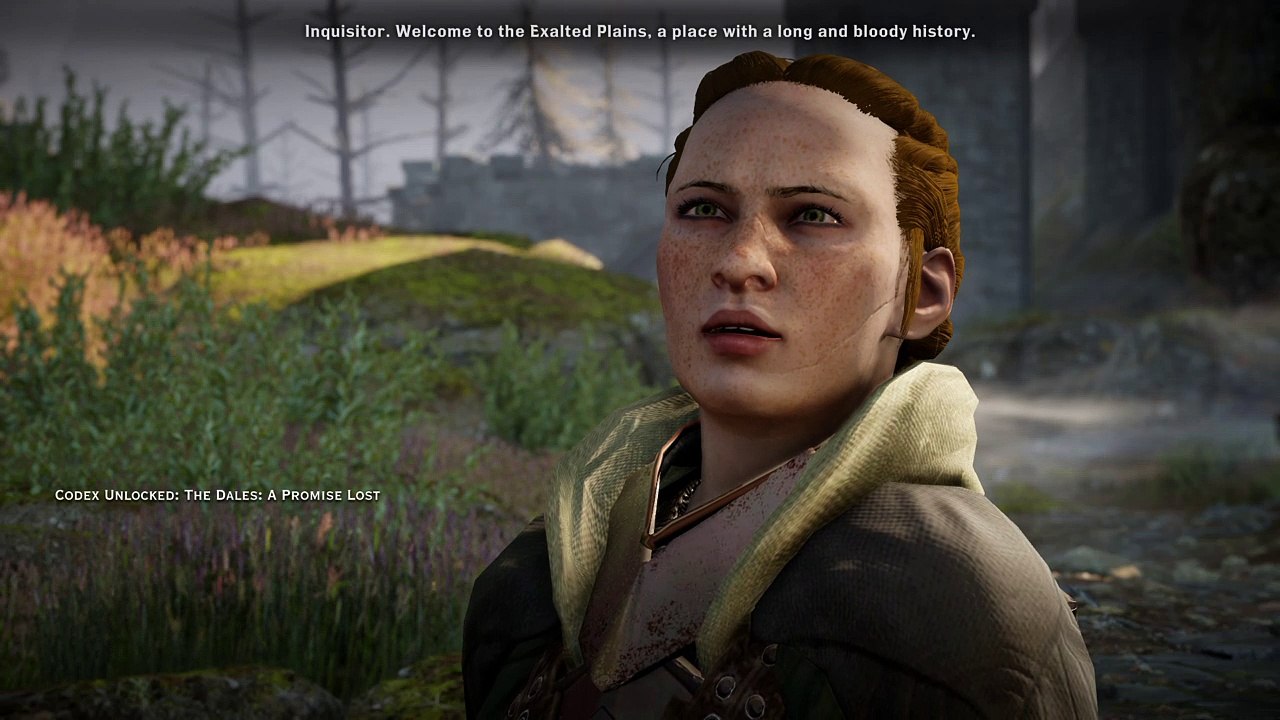 Dragon Age™: Inquisition_20161005180916