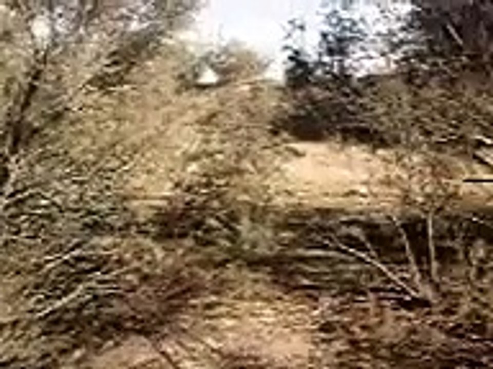 rida sidi ben ali beau happy follow voyage alger sahara deaf 2014