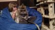 Monkey and Her Human Friend Help Keep Each Other Clean