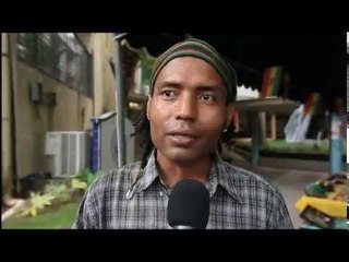 ¿Cree usted que se debe crear la Secretaría Nacional Afrodescendiente?