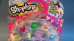 SHOPKINS, Whats The Deal With SHOPKINS for Parents and Kids lol