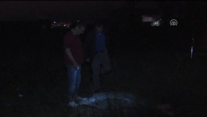 Kuyuya Düşen Danayı İtfaiye Kurtardı