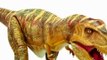 Dinosaures Dino Dan figurines, Dinosaure jouet pour les enfants