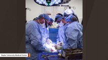 Doctors Perform United States’ First Live Donor Uterus Transplants