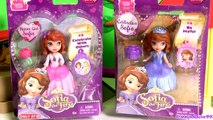 Sofia the First Dolls Flower Girl Sofia ❤ Celebration Princess Disney Kids Toys by DisneyCollector