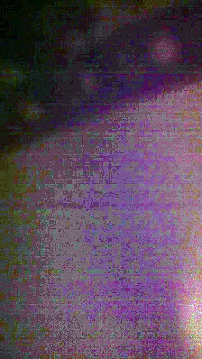yzed v