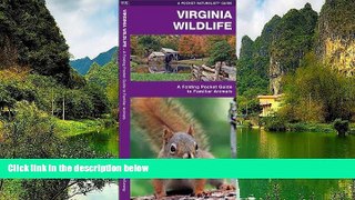 Big Deals  Virginia Wildlife: A Folding Pocket Guide to Familiar Species (Pocket Naturalist Guide